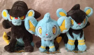 MY RENTORAR'S STORY 코링크 룩시오 렌트라