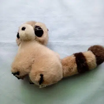 너구리 봉제 인형 약 20cm 오르골 포함