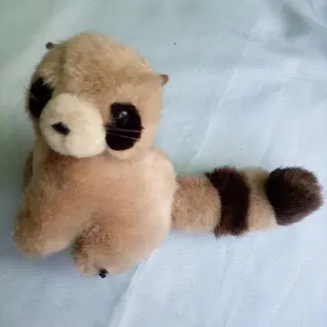 너구리 봉제 인형 약 20cm 오르골 포함