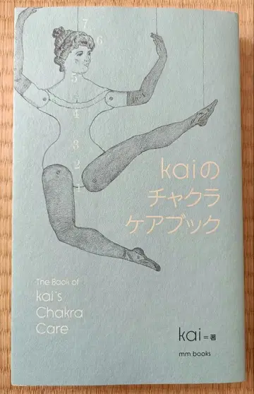 kai의 차크라 케어북