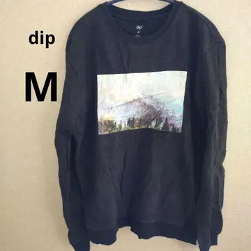 dip 풍경화 프린트 맨투맨 M