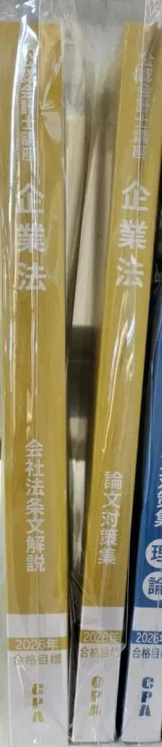 CPA 기업법 논문 대책 레쥬메 논문 대책집