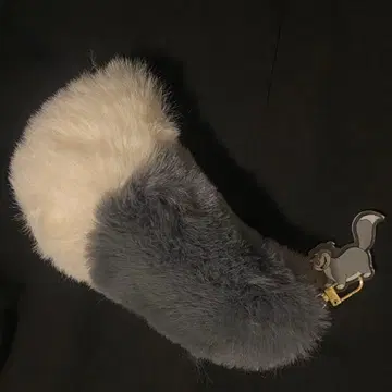 디즈니 루시퍼 신데렐라 고양이 키링 공식