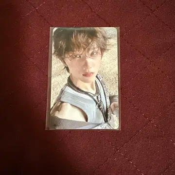 지성 NCTDREAM beat it up everline 트레이딩 카드