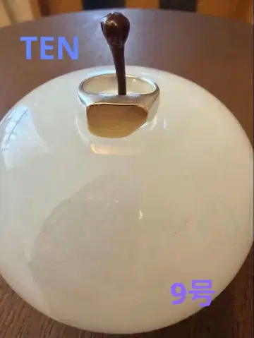 [ TEN. 팔레트 반지 MIX. 9호 ]