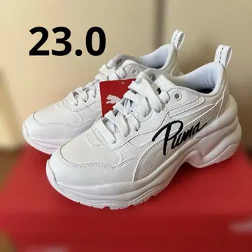 시리아 웨지 SnowMan 아베 료헤이 모델