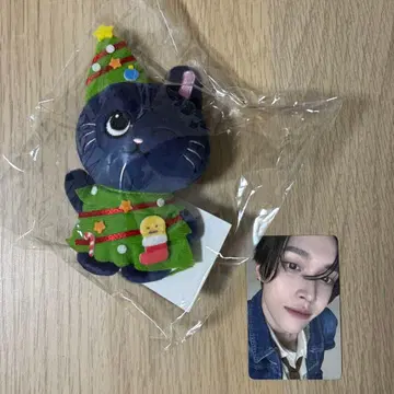 RIIZE 109 팝업 마스코트 키링 봉제 인형 원빈