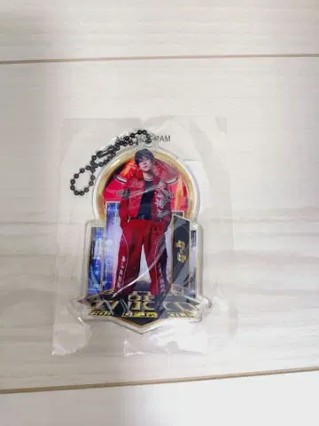 하세가와 신 포토 클리어 참