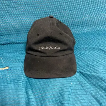 파타고니아 블랙 캡