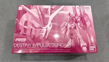RG 1/144 데스티니 임펄스 건담