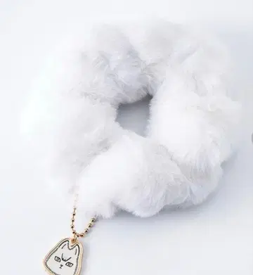 참 포함 스크런치 키타 여우 키타 신스케 하이큐 이나리자키 아베일