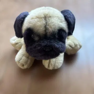 리얼 도그 컬렉션 봉제 인형 퍼그 REGALO 레가로