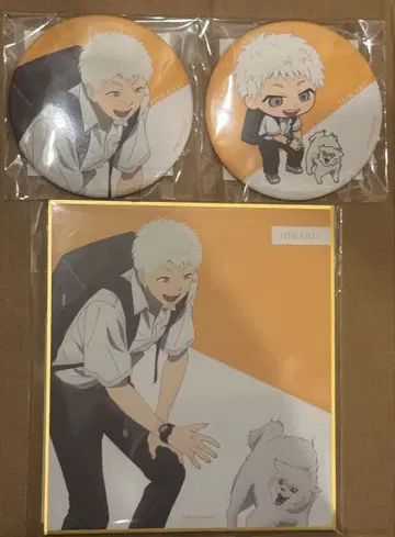 빛이 죽은 여름 쿠지비키도 히카루 세트