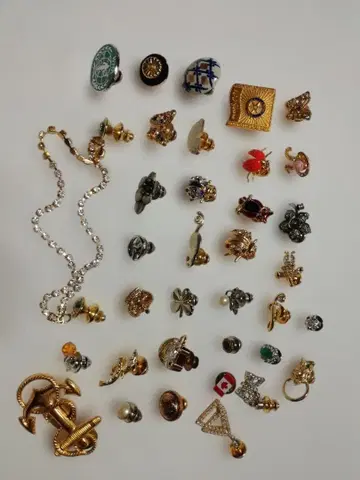 브로치와 핑 세트