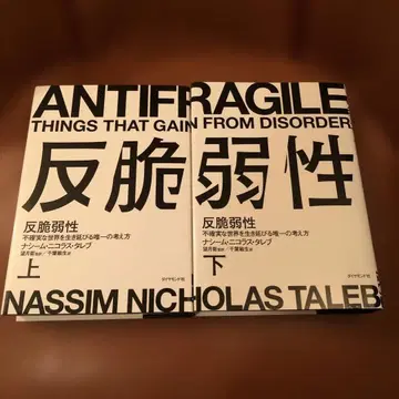 반취약성 상하권 세트 불확실한 세상을 살아남는 유일한 사고방식