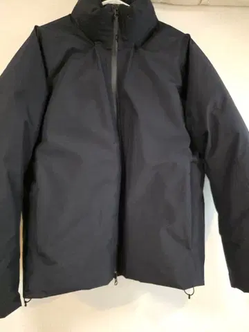 Goldwin 고어텍스 900 필 파워다운 사이즈 2