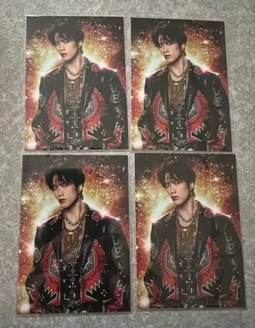 후지와라 이츠키 EXILE 포토 카드 4장 세트 익명 배송