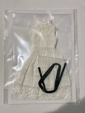 체리짱 리카짱 브라이스 원피스 드레스 작가 딜러