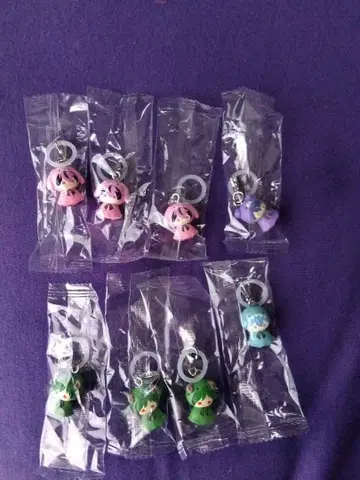 시쿠포니 메지루시 참 6개 세트