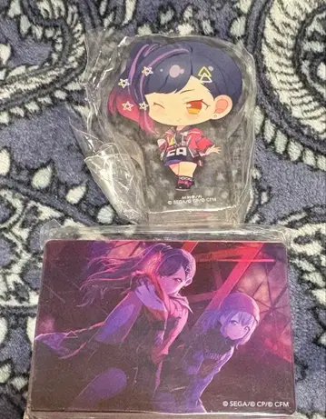 프로세카 코롯토 노블 아트 시라이시 안 시네마 특훈 후 아크릴 블록