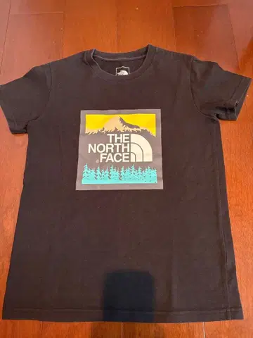 THE NORTH FACE 반팔 티셔츠 블랙