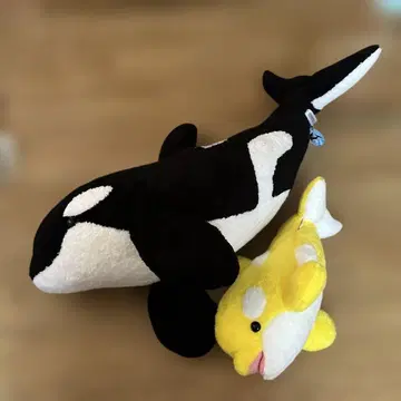 카모가와 씨월드 범고래 세트