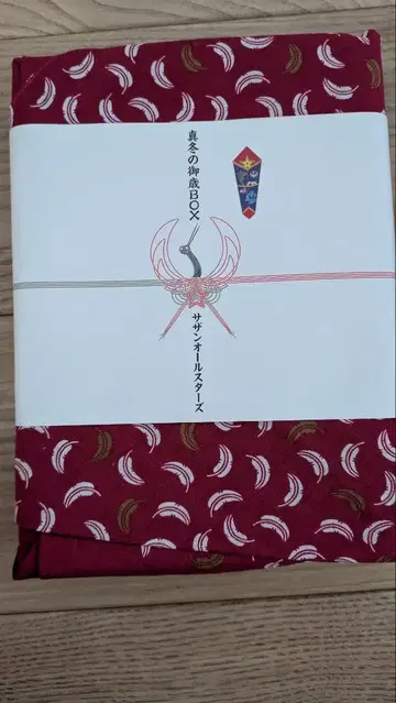 서던 올스타즈 한여름의 대감사제 LIVE 특별판