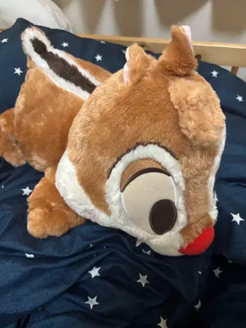 데일 봉제 인형 본체