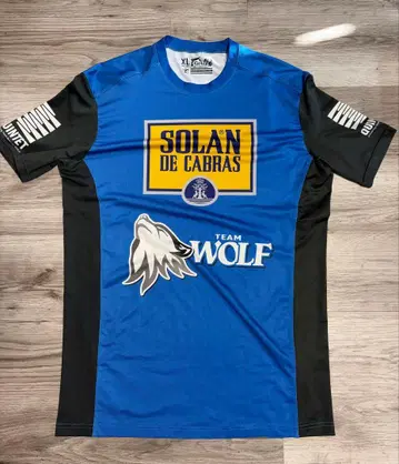 quintetto 래쉬가드