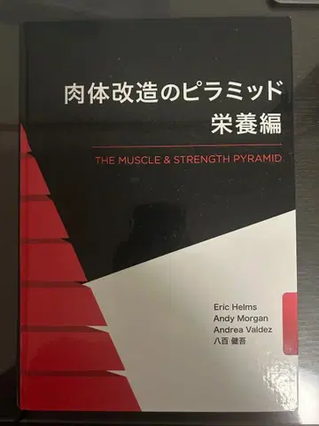 신체 개조의 피라미드 영양편