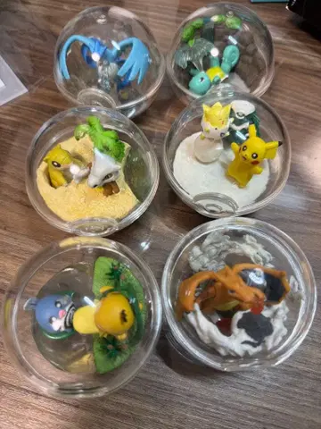 포켓몬 [포켓몬스터 테라리움 컬렉션 2]