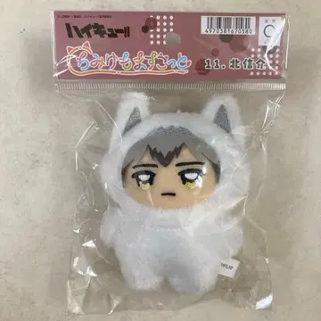 하이큐 치미케모 마스코트 봉제 인형 키타 신스케