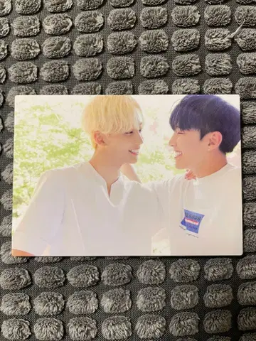 SEVENTEEN 세부치 정한 호시