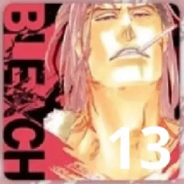 BLEACH MAILs, 아산이 렌지 13장