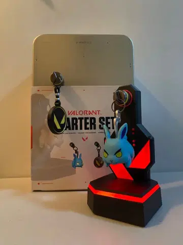 [ 가격 인하 협상 가능 ] VALORANT 건바디 스타터 키트