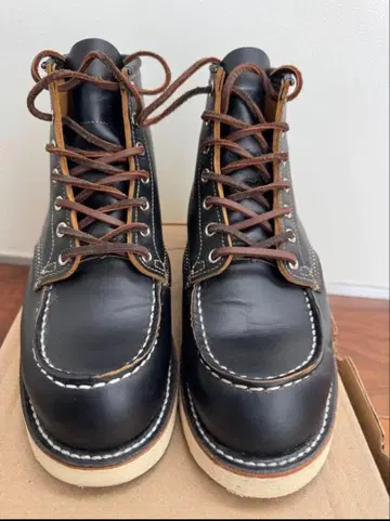 연말 세일 미사용급 레드윙 아이리쉬 세터 클론다이크 차심