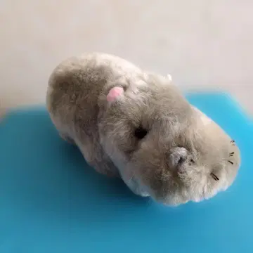 CUTE Collection 하마 봉제 인형