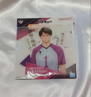 하이큐 제일복권 BIG 아크릴 스탠드 아크스타 우시지마 와카토시