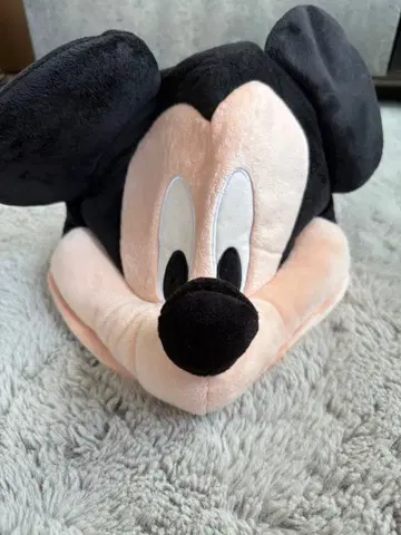 미키마우스 팬 캡 도쿄 디즈니 리조트