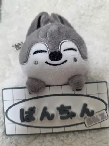 SKZOO StrayKids 울프 찬 네임 백참