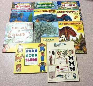 공룡 트리케라톱스 미로 도감 11권 그림책 세트