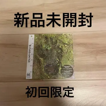 더 크로마뇽즈 CD DVD 최초 한정 새상품