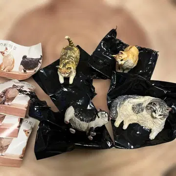 하시모토 미오 고양이 조각 우니짱 코테츠군 치미짱 모이군