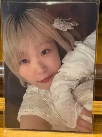 ExWHYZ mayu 포토 카드 don't cry