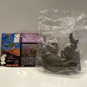 네이처 테크니컬러 일본의 거북 니혼스폰