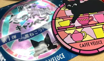 벨로체 블랙 고양이 러버 코스터 겨울 만끽 캠페인