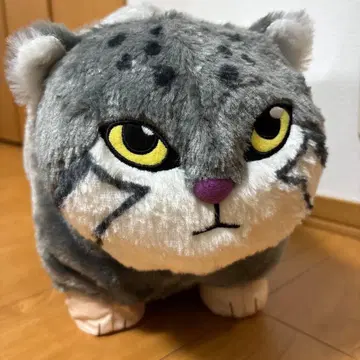 마눌 고양이 봉제 인형 XL 프리미엄