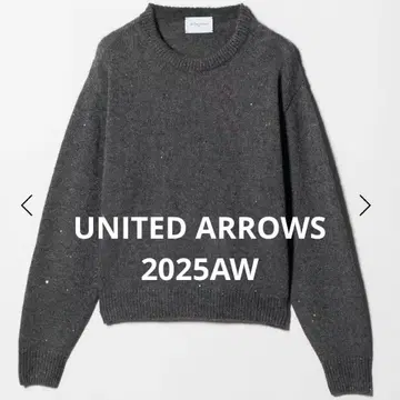 2025AW 유나이티드 애로우즈 플라워 스팽글 크루넥 니트