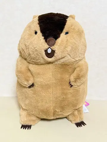 봉제 인형 마모트