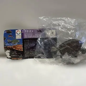 네이처 테크니컬러 일본의 거북 쿠사가메